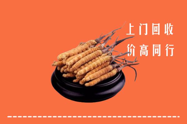 收购行情：漳州市诏安冬虫夏草回收多少钱每克