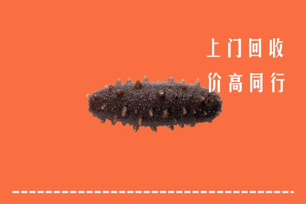 漳州市诏安回收海参