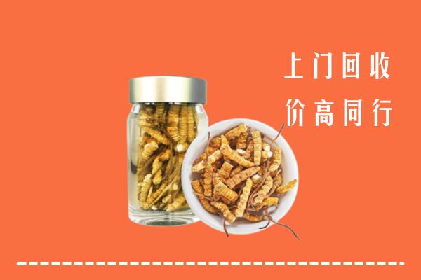 漳州市诏安回收冬虫夏草